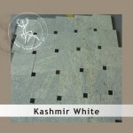 Kashmir White