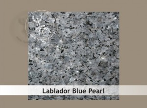 Lablador Blue Pearl